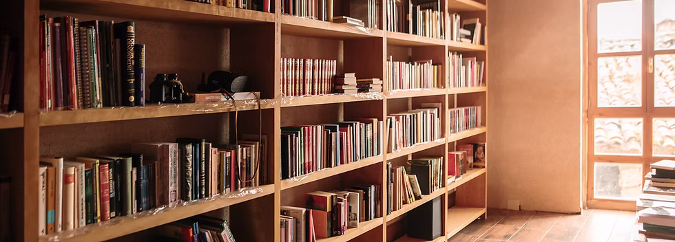 Étagères à livres en bois